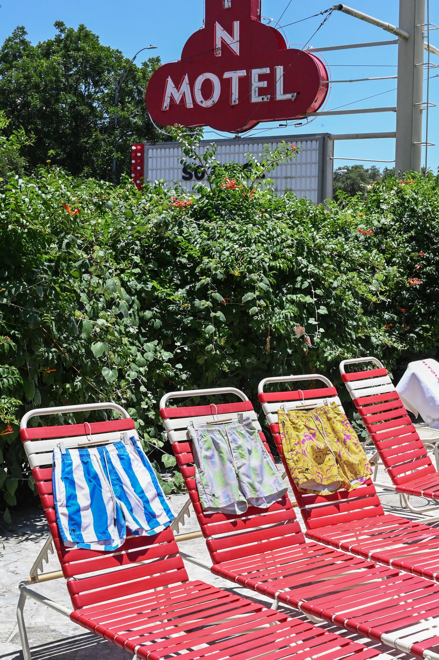 Waver Swim Trunks