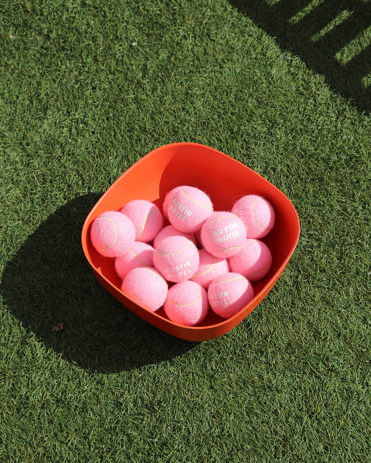 Austin Motel Dog Ball