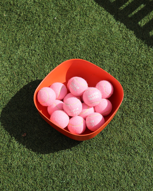 Austin Motel Dog Ball