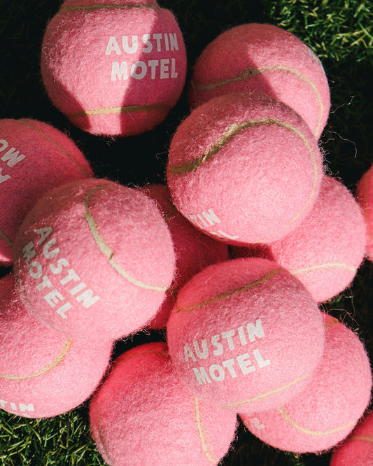 Austin Motel Dog Ball